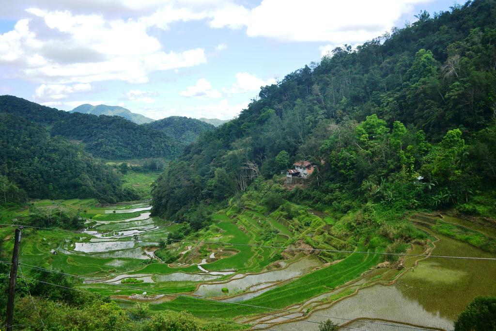 Banaue Greenfields Inn Dış mekan fotoğraf